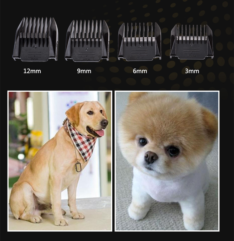 T63 Dierentondeuse met snoer