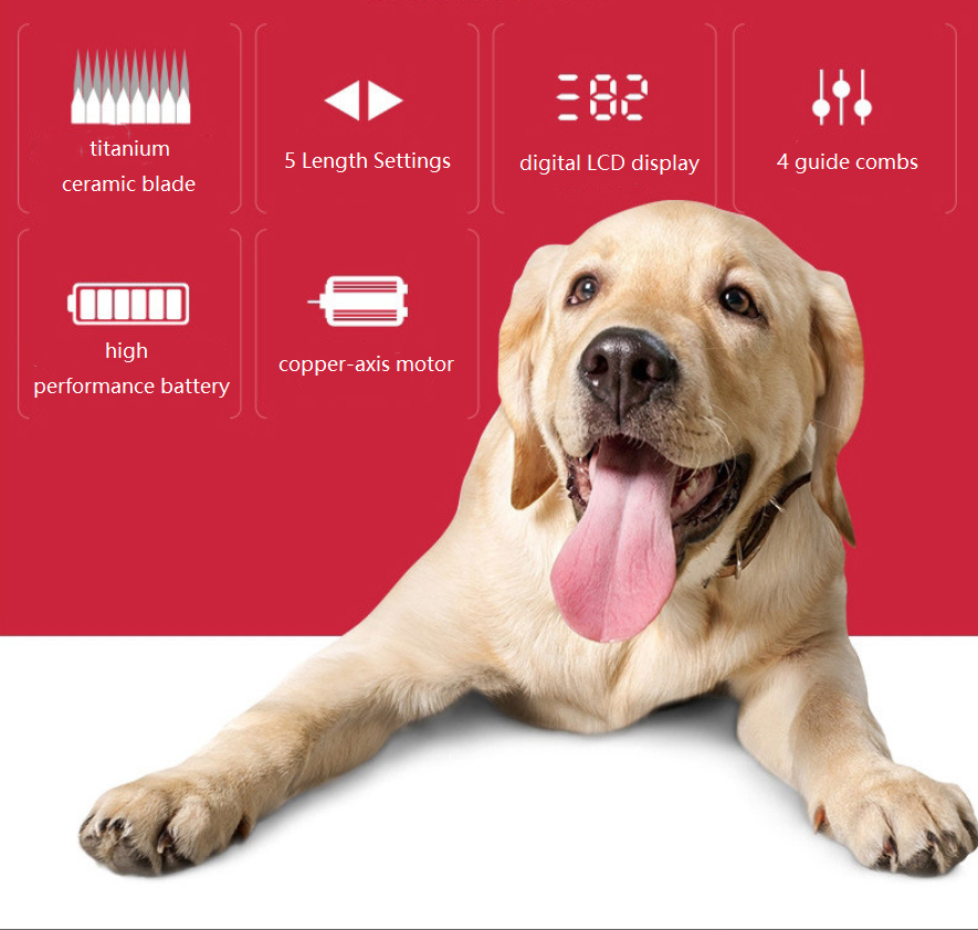 C67 usb dierentondeuse